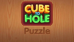 Cube to Hole Puzzle
